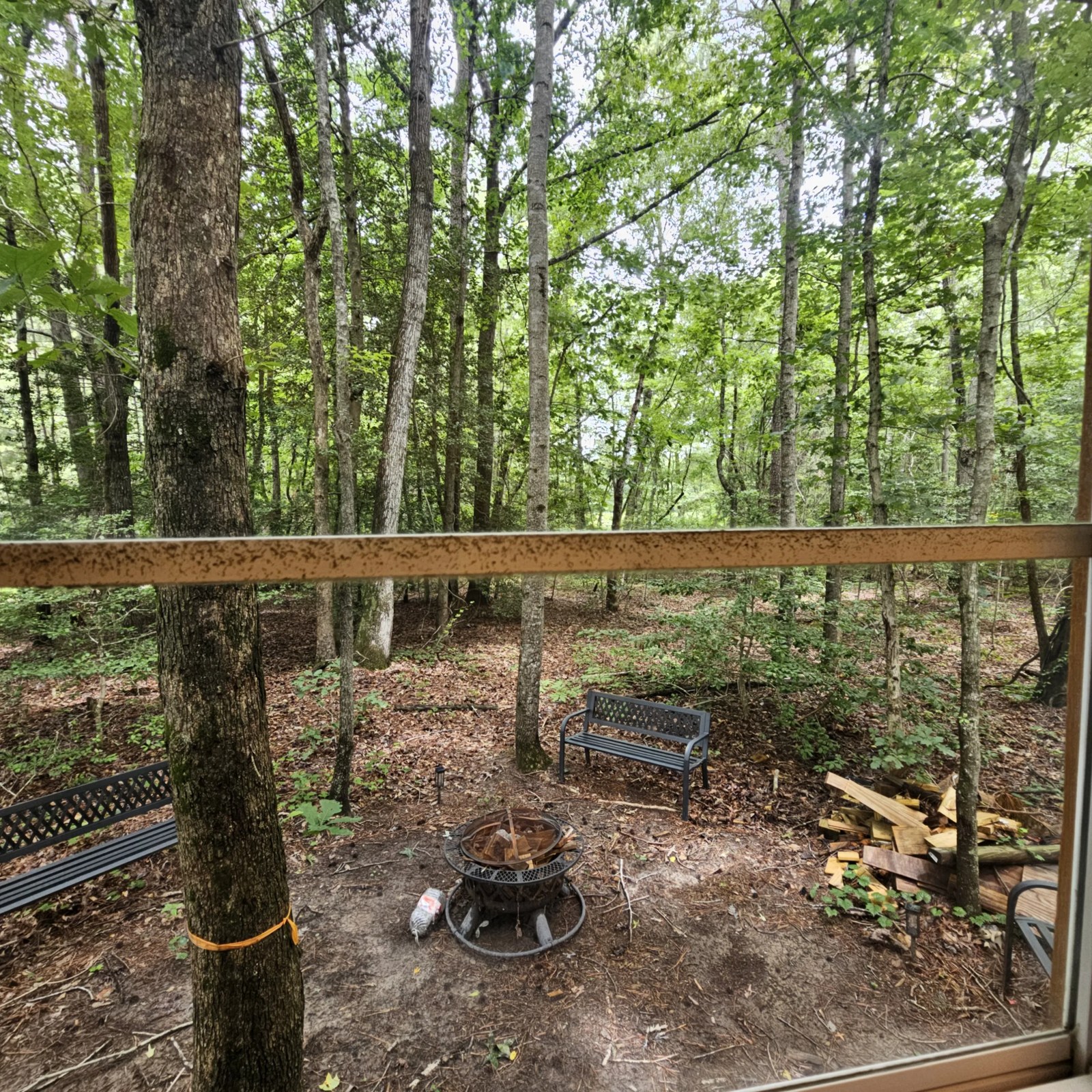 Fire pit and benches seen through the cabin window